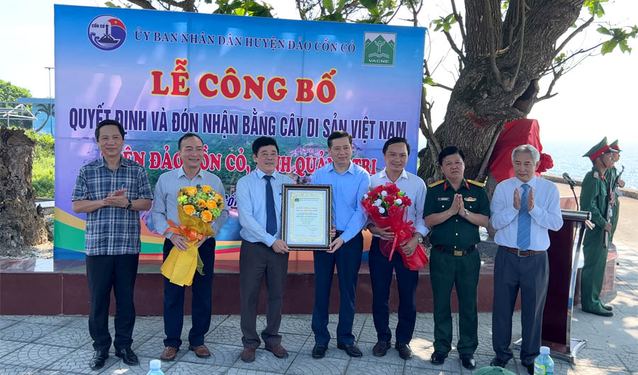 Những[-]cây[-]đầu[-]tiên[-]của[-]tỉnh[-]Quảng[-]Trị[-]được[-]công[-]nhận[-]Cây[-]Di[-]sản[-]Việt[-]Nam